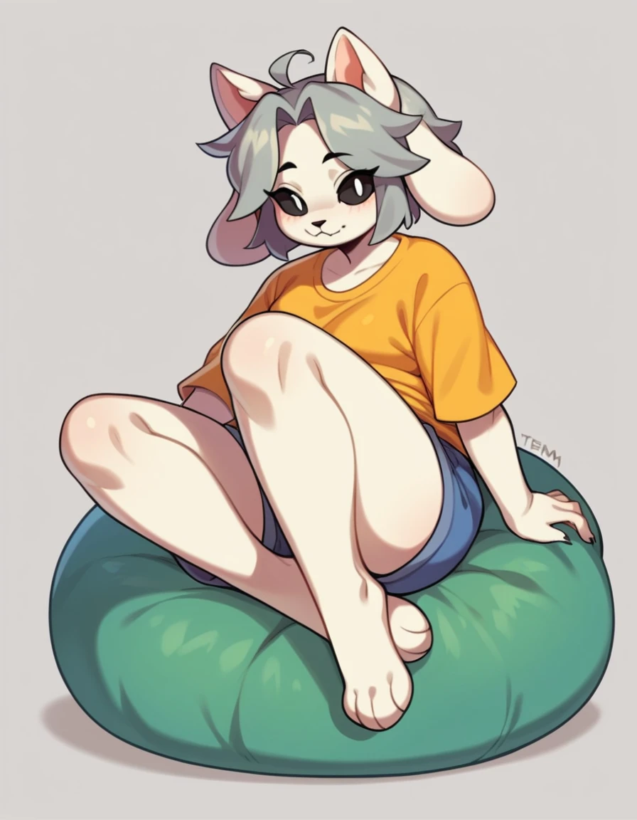 score_9,score_8_up,score_7_up, source_anime, temmie from undertale, Anthro girl, short silver grey hair, black eyes, white sclera, white furry body, canine feline hybrid girl, four ears, floppy white dog ears, white cat ears, wearing shirt, shorts, barefoot, feet paws four toes, sitting on a beanbag chair, playful pose
