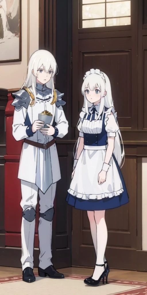 female, standing, right, long_hair, disordered_hair, white_hair, maid in armor, metallic high heels