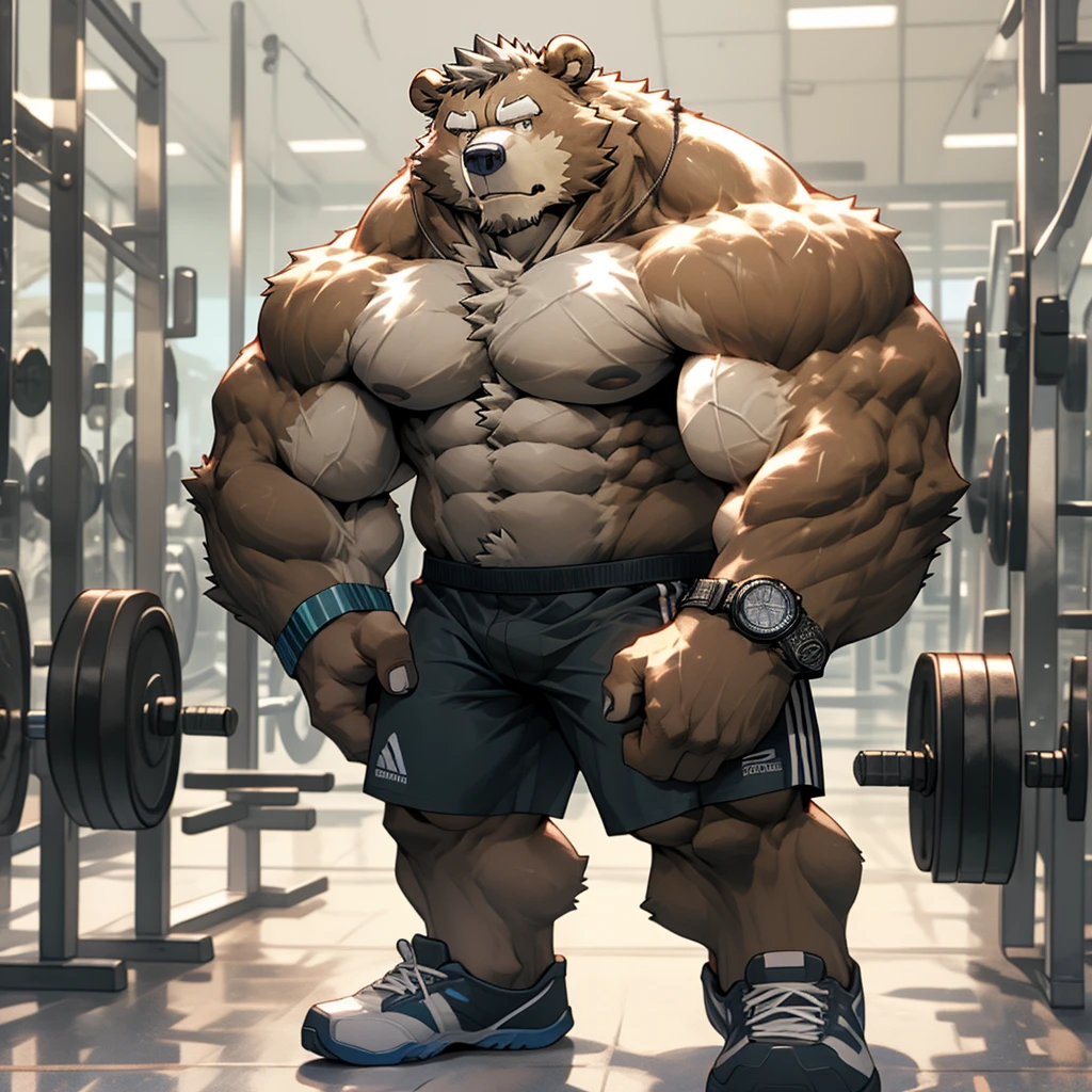 A muscular and strong bodybuilder bear in gym shorts, shirtless, topless, wristband, watch, and gym shoes with a gym fitness center in the background. A strong bear holding heavy dumbbells
