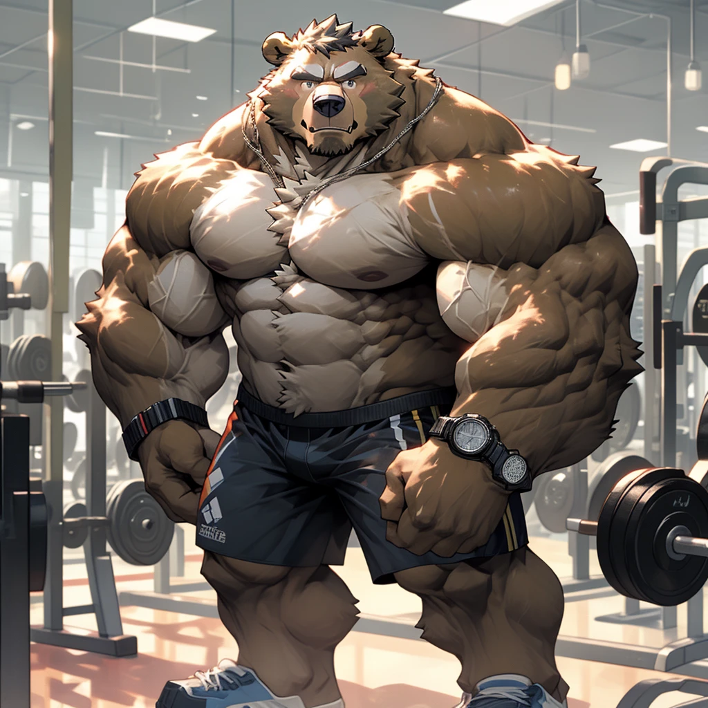 A muscular and strong bodybuilder bear in gym shorts, shirtless, topless, wristband, watch, and gym shoes with a gym fitness center in the background. A strong bear holding heavy dumbbells