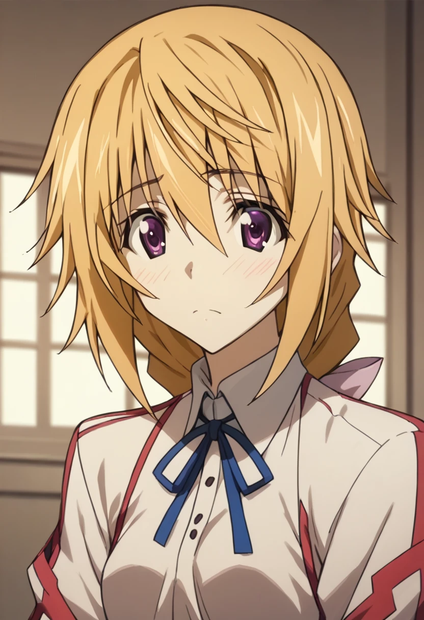 Charlotte Dunois (Charlotte Dunois) - Infinite Stratos (IS 〈infinite stratos,
