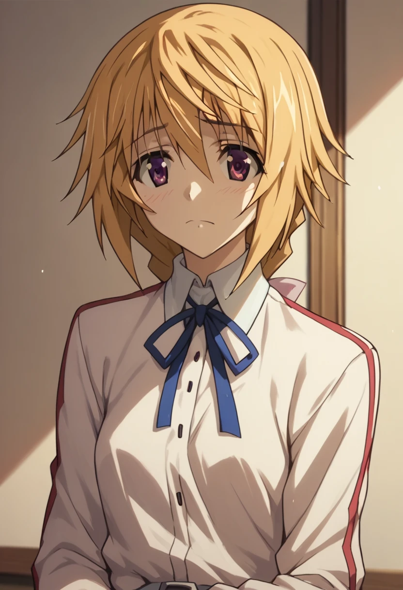 Charlotte Dunois (Charlotte Dunois) - Infinite Stratos (IS 〈infinite stratos,