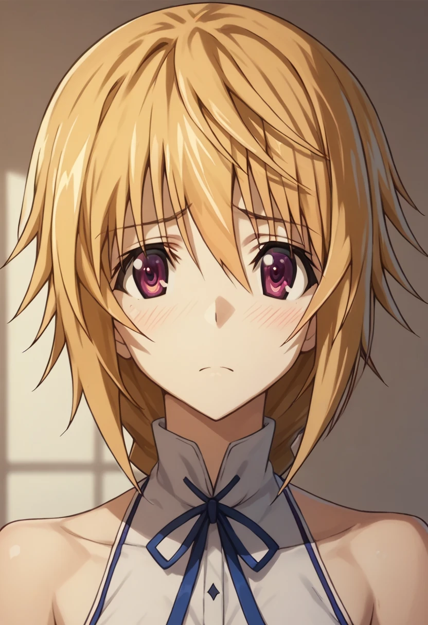 Charlotte Dunois (Charlotte Dunois) - Infinite Stratos (IS 〈infinite stratos,