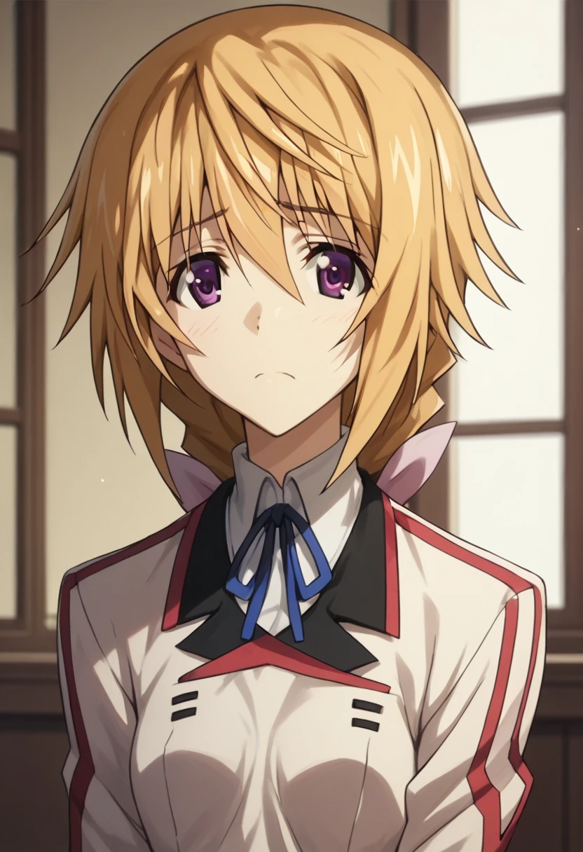 Charlotte Dunois (Charlotte Dunois) - Infinite Stratos (IS 〈infinite stratos,