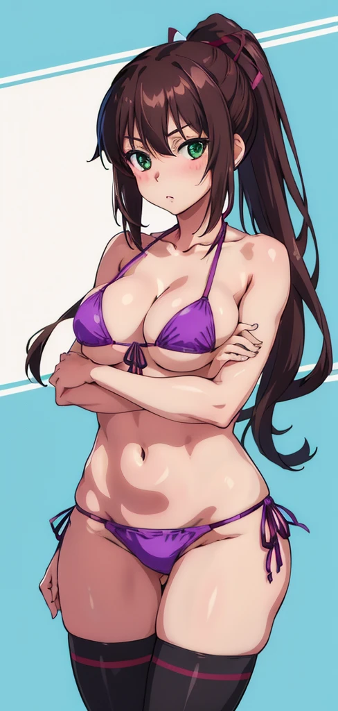 masterpiece, best quality,1girl,solo,kirasaka sayaka,brown hair,long hair,ponytail, hair ribbon, green eyes,,purple thighhighs, wariza, (bikini). 