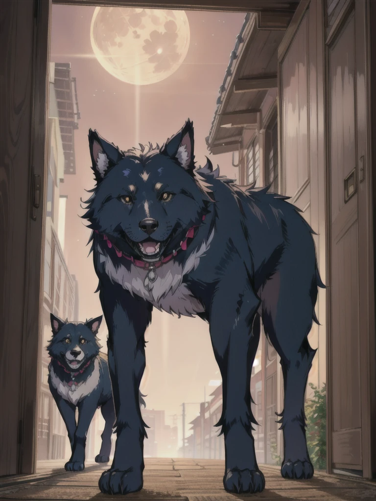 It was a full moon night and João was at home with his two children until one night he went out and saw a creature similar to a giant dog. He was very scared and ran home
