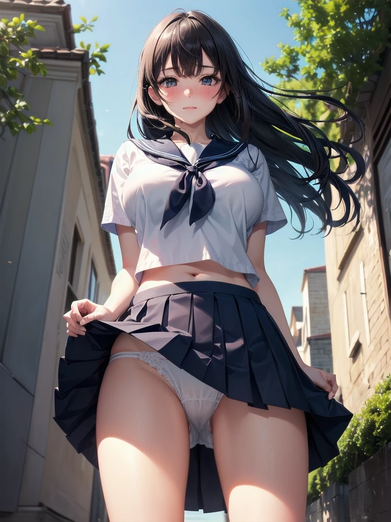 very cute and beautiful girl,(highly detailed beautiful face and eyes:1.2), solo, huge breasts, lift shit, (((blush))), ((embarrassed)), (sailor school uniform), (navy blue pleated mini skirt:1.15), from below, crotch focus, (white panties, lift skirt, pantie shot,) (town overview), detailed landscape, black hair,(best quality,masterpiece:1.2),intricate details, extremely detailed, 8k resolution, solo, natural lighting, hair fluttering in the wind,