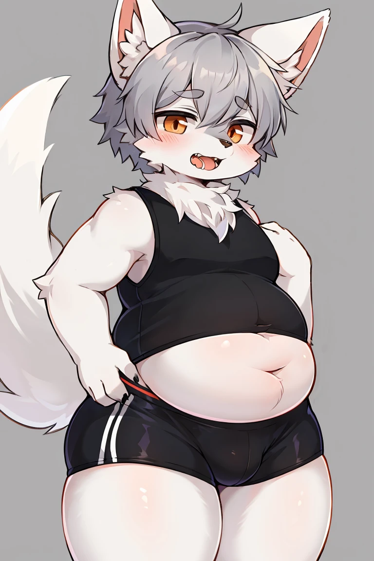 furry beast, White fur, gray hair,Belly-baring vest,tight shorts,Only one,White Fox Shota,Fox ears with black tips,Foxtail tip black,Fat thighs,fit, best quality