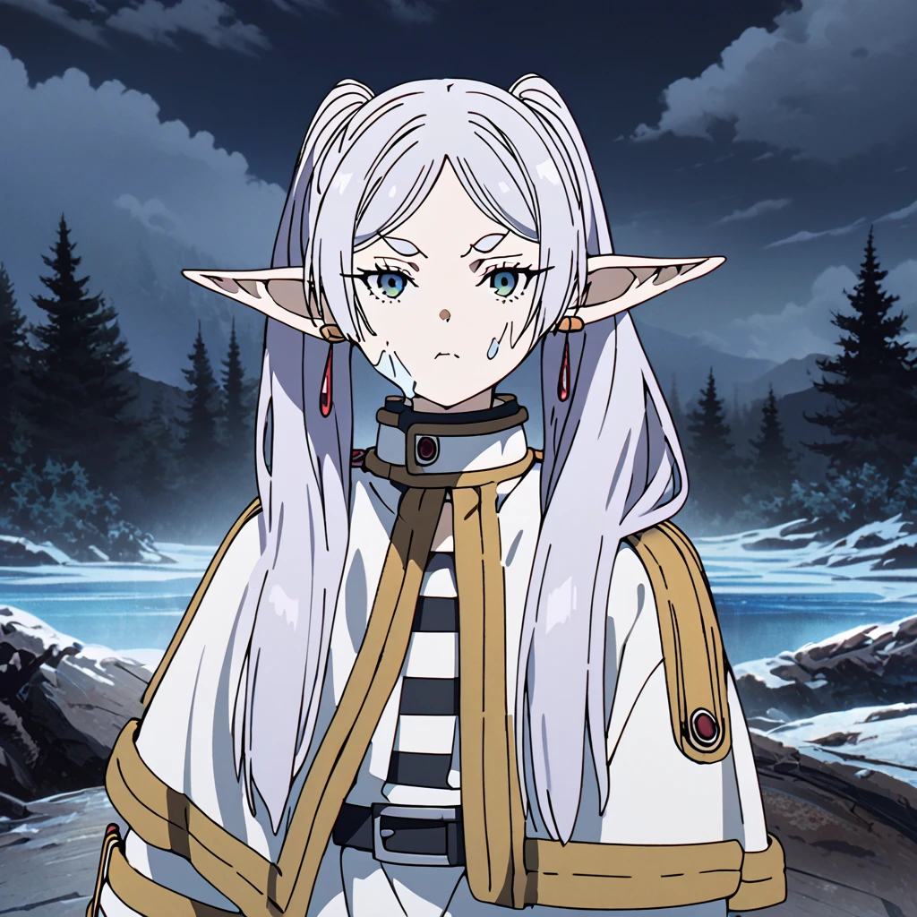 masterpiece, best quality, 4k、2D illustration, one beautiful girl, solo, frieren, pointy ears, elf, earrings, twintails, parted bangs, grey hair, thick eyebrows、((Serious Situations))、((serious face))、((angry face)), icy face, ((long beautiful hair)), , standing, speaking something, beautifully detailed eyes、((looking at viewer)), ((sousou_no_frieren))、((close up shot))、((wilderness background))、((night))、((cloudy sky))、 