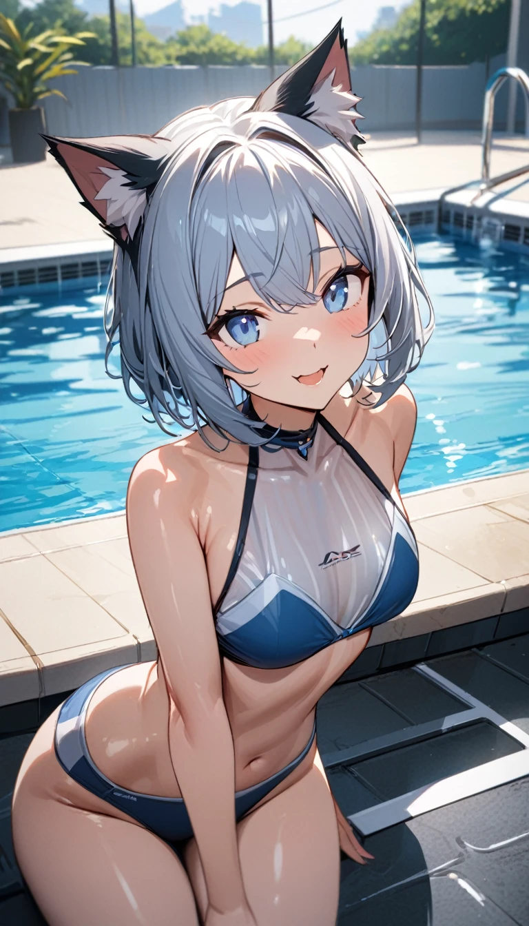 1girl、(((best quality)), ((masterpiece)), (details), masterpiece, best quality, high quality, ulutra detailed, perfect face, ((1girl, Blue eyes, cat ears: 1.3 silver bob hair: 2.5,))、Shiny Hair、Glowing Skin、Happy face、Lustful look、I can see your toned stomach、blue sky、Infinity Pool、bikini、Hotel swimming pool