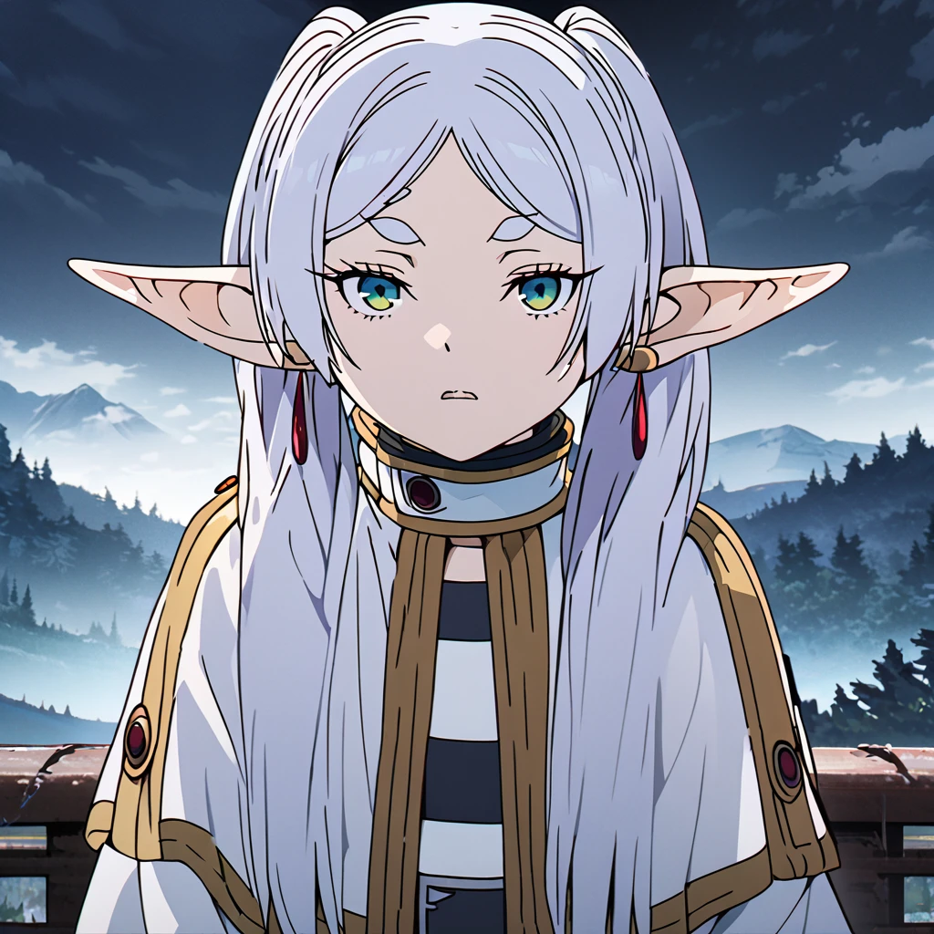 masterpiece, best quality, 4k、2D illustration, one beautiful girl, solo, frieren, pointy ears, elf, earrings, twintails, parted bangs, grey hair, thick eyebrows、((Serious Situations))、((serious face))、speaking something, ((long beautiful hair)), , standing, beautifully detailed eyes、((looking at viewer)), ((sousou_no_frieren))、((close up shot))、((wilderness background))、((night))、((cloudy sky))、 