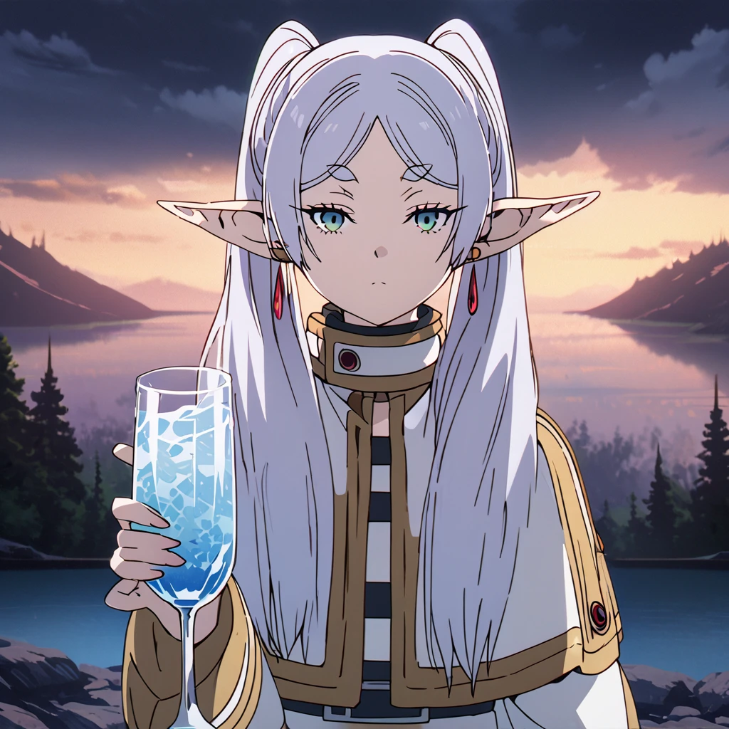 masterpiece, best quality, 4k、2D illustration, one beautiful girl, solo, frieren, pointy ears, elf, earrings, twintails, parted bangs, grey hair, thick eyebrows、((Serious Situations))、((serious face))、speaking something, ((long beautiful hair)), , standing, beautifully detailed eyes、((looking at viewer)), ((holding a glass of water)), ((sousou_no_frieren))、((close up shot))、((wilderness background))、((night))、((cloudy sky))、 