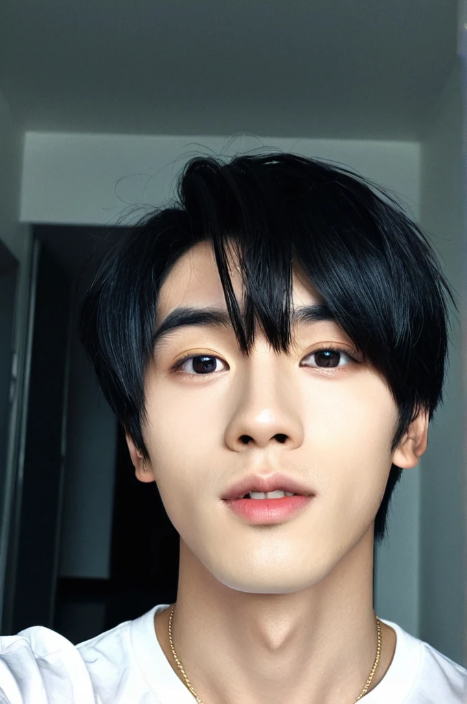 One boy, Young man with black hair  ((Mash straight hair)),Male idol style, Medium size portrait, Oval Face, vivid,In a dark room Taking a selfie with your smartphone,(In a dark room)