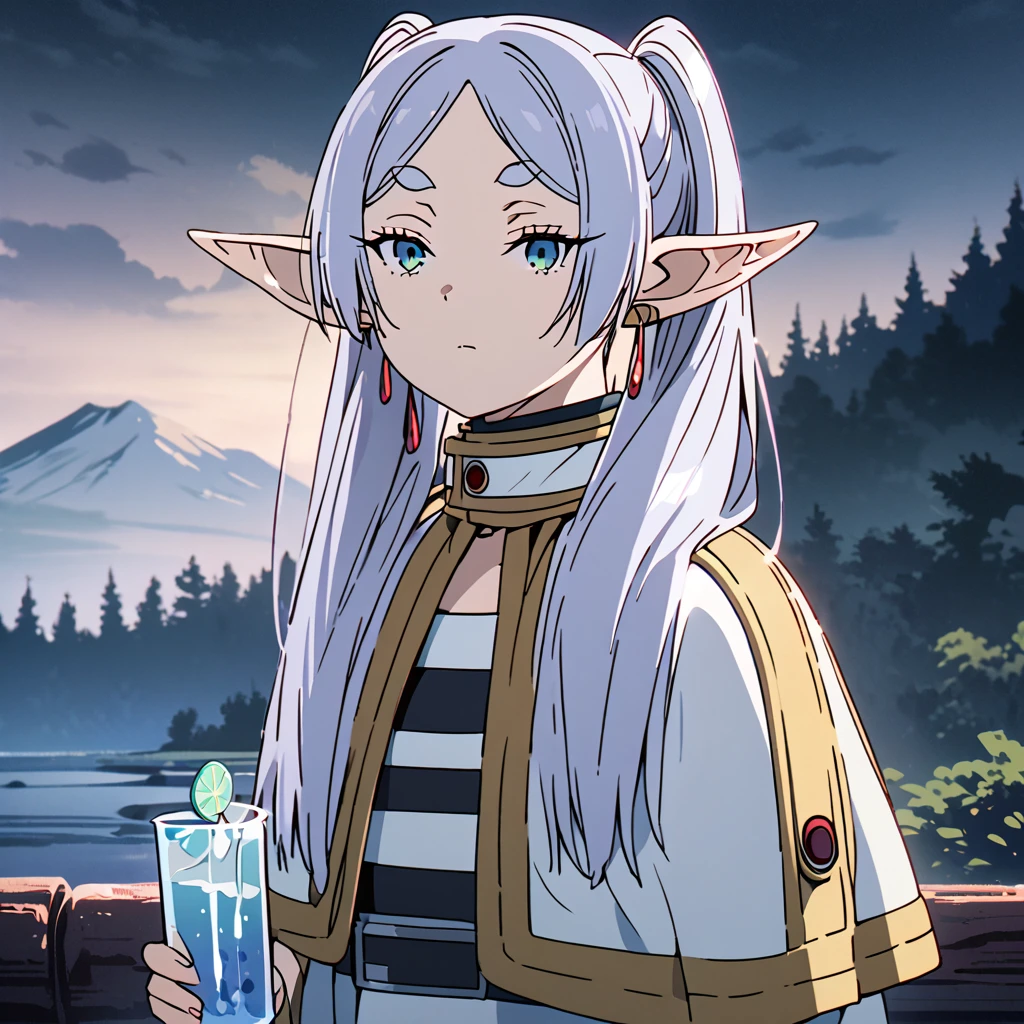 masterpiece, best quality, 4k、2D illustration, one beautiful girl, solo, frieren, pointy ears, elf, earrings, twintails, parted bangs, grey hair, thick eyebrows、((Serious Situations))、((serious face))、speaking something, ((long beautiful hair)), , standing, beautifully detailed eyes、((looking at viewer)), ((holding a plastic glass of water)), ((sousou_no_frieren))、((close up shot))、((wilderness background))、((night))、((cloudy sky))、 