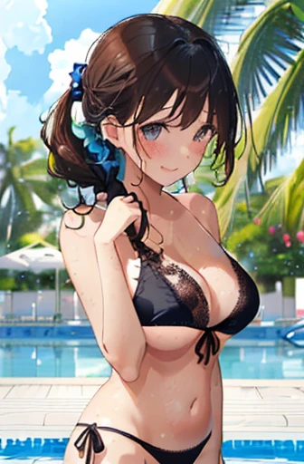 Highest quality、masterpiece、(1 adult female:1.3)、(Soft bust:1.2)、nature(Huge boobs)、(In close range:1.3)、On all fours、thin、(Thin and simple black lace bikini swimsuit:1.2)、Brown Hair、(The hair is tied back:1.2)、(White highlight in pupil:1.1)、(Look at the viewers:1.2)、White skin、smile、blush、Embarrassed expression、(Blue summer sky:1.3)、(Avoid the background around the upper body:1.3)、(Make the background blur large to make the woman stand out:1.3)、(Beautiful background of the poolside on the beach:1.3)、(Beautiful summer flowers)