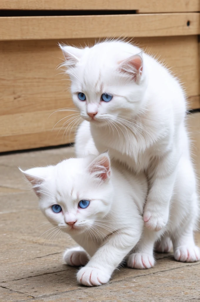 Create a white kitten but who is wearing Ryu's suit from Street fighter