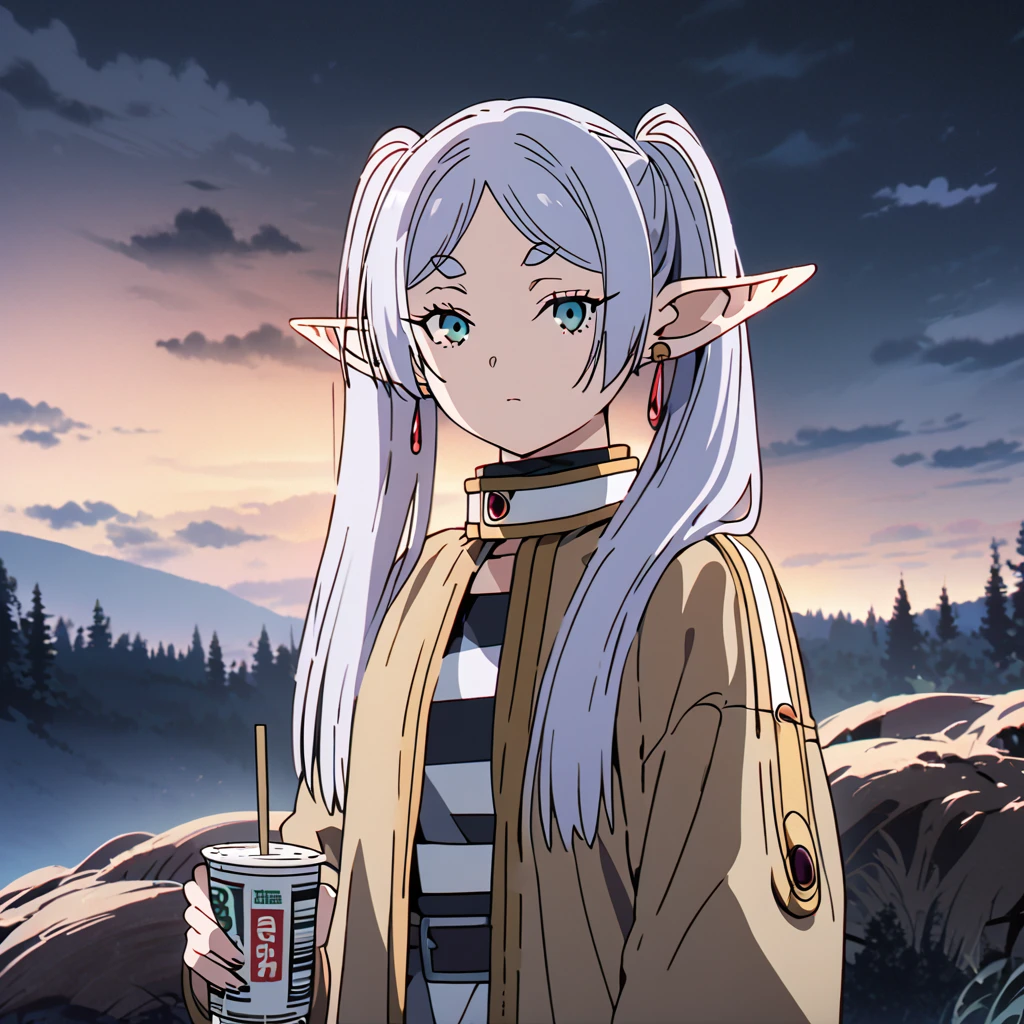 masterpiece, best quality, 4k、2D illustration, one beautiful girl, solo, frieren, pointy ears, elf, earrings, twintails, parted bangs, grey hair, thick eyebrows、((Serious Situations))、((serious face))、speaking something, ((long beautiful hair)), , standing, beautifully detailed eyes、((looking at viewer)), ((holding 1 case of Cup Noodles)), ((sousou_no_frieren))、((close up shot))、((wilderness background))、((night))、((cloudy sky))、 