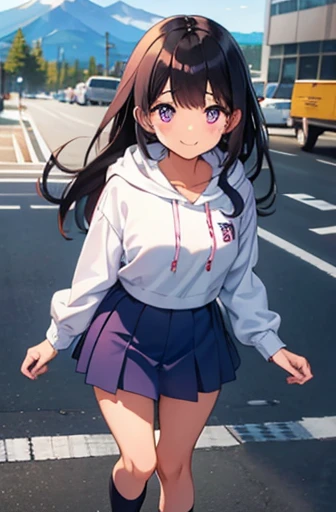 At the foot of the mountain. Fuji Mountain　Field　Elementary school girl　8-year-old　Large Breasts　Black Hair　Long Hair　The eyes are purple　smile（（1 person））　Hooded hoodie with upper body pink　Navy blue mini skirt　White panties　White socks　Sports boots　Daytime　Are standing　（（スカートがめくれてWhite pantiesが見える））　Dynamic Angle　from the front
