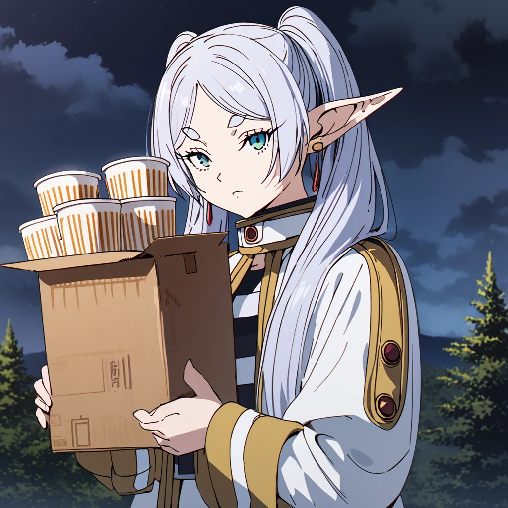 masterpiece, best quality, 4k、2D illustration, one beautiful girl, solo, frieren, pointy ears, elf, earrings, twintails, parted bangs, grey hair, thick eyebrows、((Serious Situations))、((serious face))、speaking something, ((long beautiful hair)), , standing, beautifully detailed eyes、((looking at viewer)), ((1 cardboard box of Cup Noodles in her hand)), ((sousou_no_frieren))、((close up shot))、((wilderness background))、((night))、((cloudy sky))、 