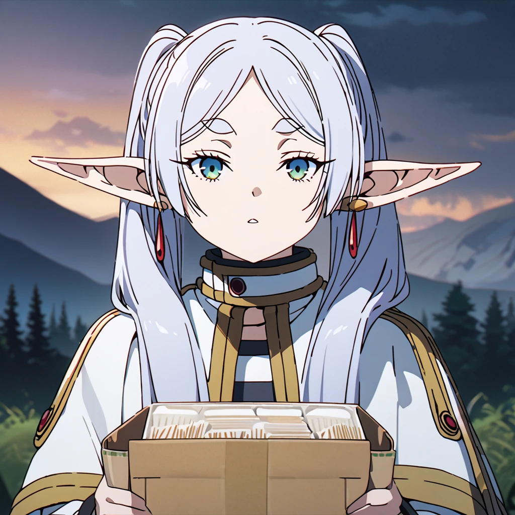 masterpiece, best quality, 4k、2D illustration, one beautiful girl, solo, frieren, pointy ears, elf, earrings, twintails, parted bangs, grey hair, thick eyebrows、((Serious Situations))、((serious face))、speaking something, ((long beautiful hair)), , standing, beautifully detailed eyes、((looking at viewer)), ((1 cardboard box of Cup Noodles in her hand)), ((sousou_no_frieren))、((close up shot))、((wilderness background))、((night))、((cloudy sky))、 