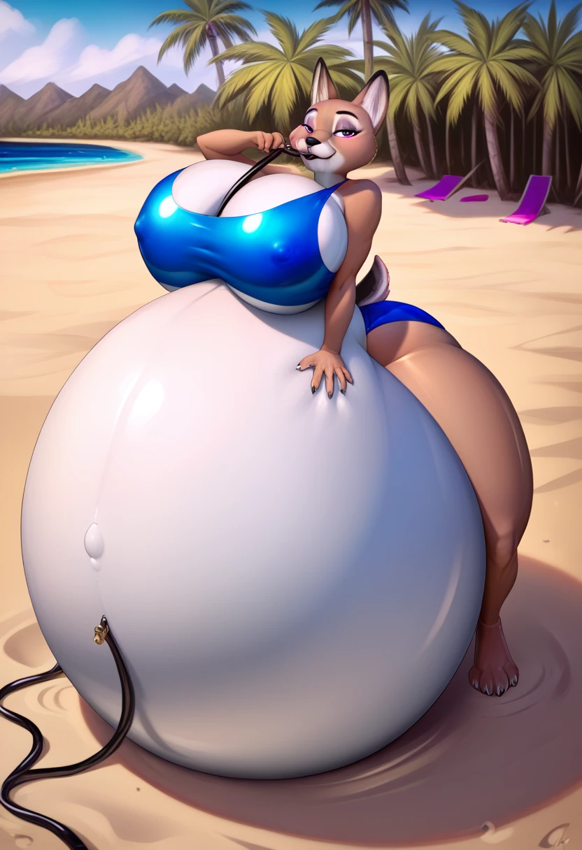 score_9,score_8_up,score_7_up, young judy hopps,zootopia, thick legs, thick paws,thin hips,thick thighs,beach,realistic fur,,seductive look,fluffy fur,Realistic eyes,Realistic Details,Masterpiece, 18k, high-definition resolution,paws pose,showing the crotch to the viewer, seductive eyes,outdoor,standing,swimsuit,  outdoor cafe, detailed background, coyote, anthro, male, canid, canine, clothed, hose in mouth, water inflation, blimpbelly, on front, photorealistic, arched back, by taranima , heavy, sitting on floor huge overfilled breast_implant, huge keep_inflating_Extrem_like a blimp, 