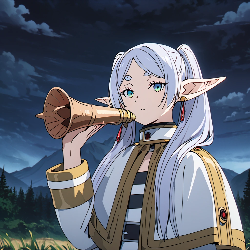 masterpiece, best quality, 4k、2D illustration, one beautiful girl, solo, frieren, pointy ears, elf, earrings, twintails, parted bangs, grey hair, thick eyebrows、((Serious Situations))、((serious face))、speaking something, ((long beautiful hair)), , standing, beautifully detailed eyes、((looking at viewer)), ((a conch shell (trumpet shell) in her hand)), ((sousou_no_frieren))、((close up shot))、((wilderness background))、((night))、((cloudy sky))、 