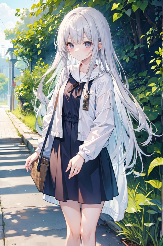 Girl、Long silver hair、Summer clothes、Embarrassed
