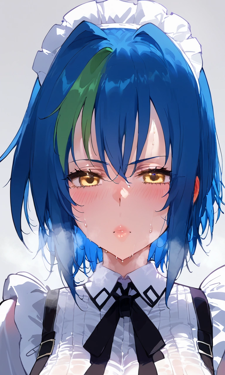 score_9, score_8_up, score_7_up, score_6_up, score_5_up, score_4_up, source_anime , 1girl, xenovia quarta, short hair, blue hair, yellow eyes, , multicolored hair, green hair, two-tone hair, streaked hair, large breasts, , floox style, \\\\\ , \\\\\ steam, steaming body, sweat,, rating_explicit, high resolution, deep breath,  grey background, solo, , maid outfit
