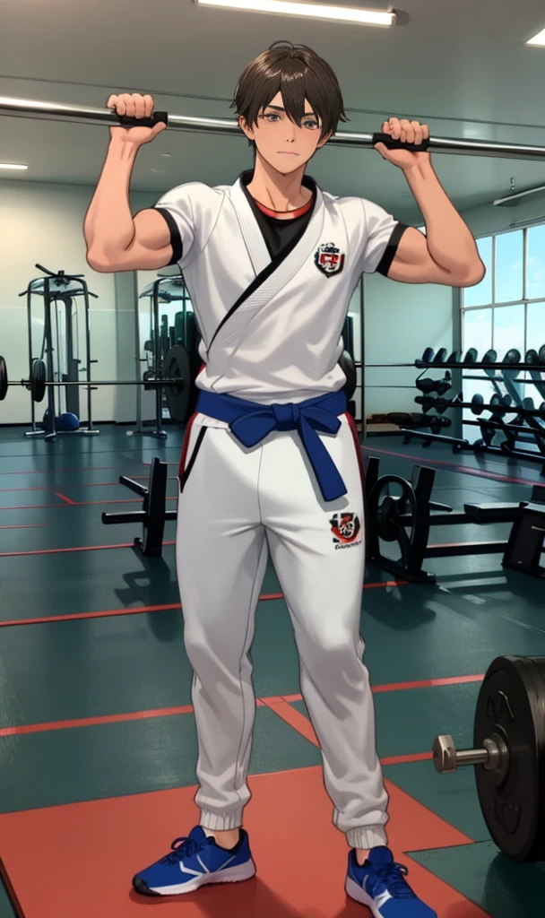 1 boy,Dojo,Gym