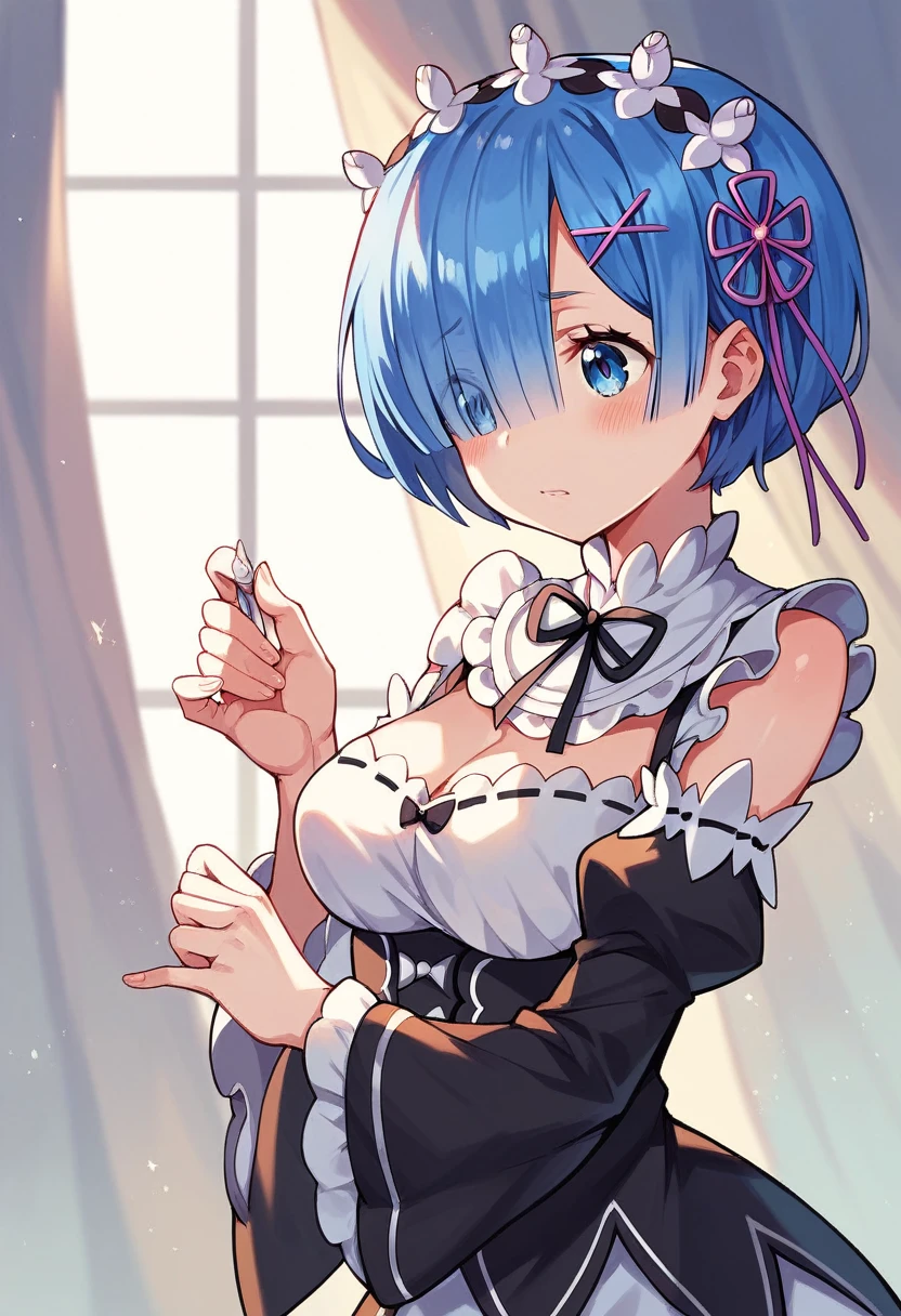 Re:Zero .Rem