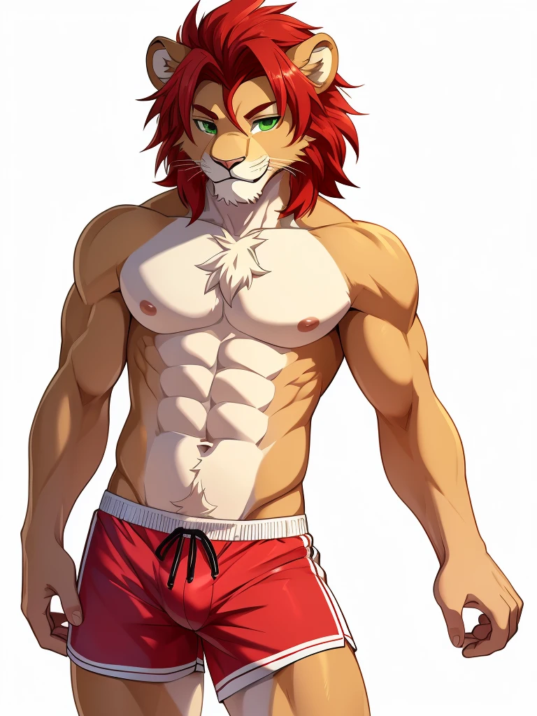 (masterpiece, 4K, ultra detailed), lion furry, masculine, athletic, lean, red hair, short messy haircut, illustration, simple colors, white background, cute, soft smile, elegant, single, white swim trunks, bulge, , anime, green eyes