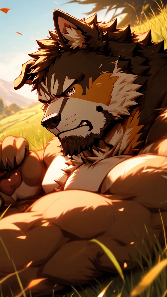 （masterpiece），Bernese Mountain Dog，Topless，Eye，anger，hairy，8k，wallpaper，Detailed background，Very detailed body，Eye细节，Paw pad details，Lifelike，grassland，