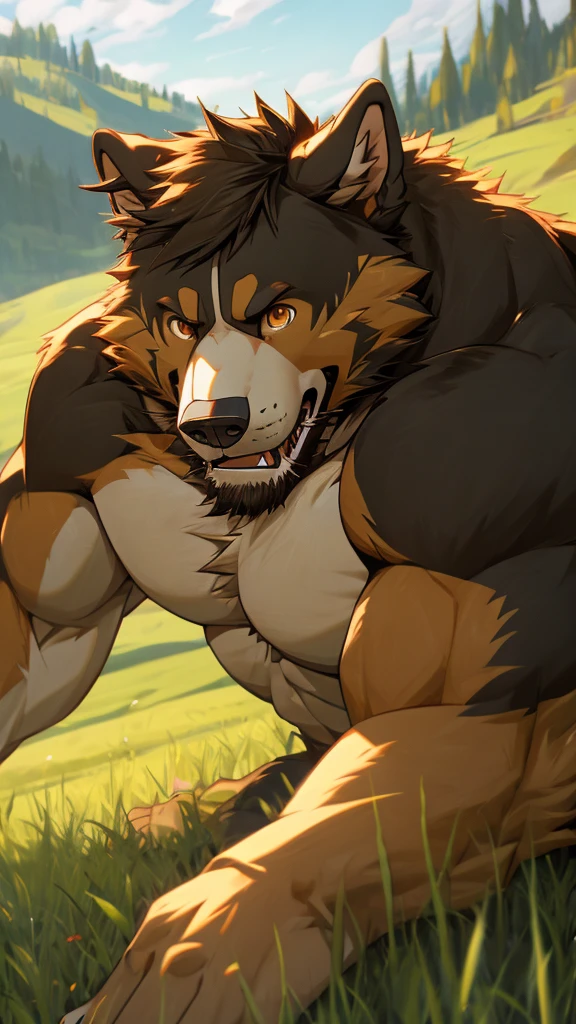 (masterpiece),Bernese Mountain Dog,Topless,Eye,anger,hairy,8k,wallpaper,Detailed background,Very detailed body,Eye Details,Paw pad details,Lifelike,grassland,