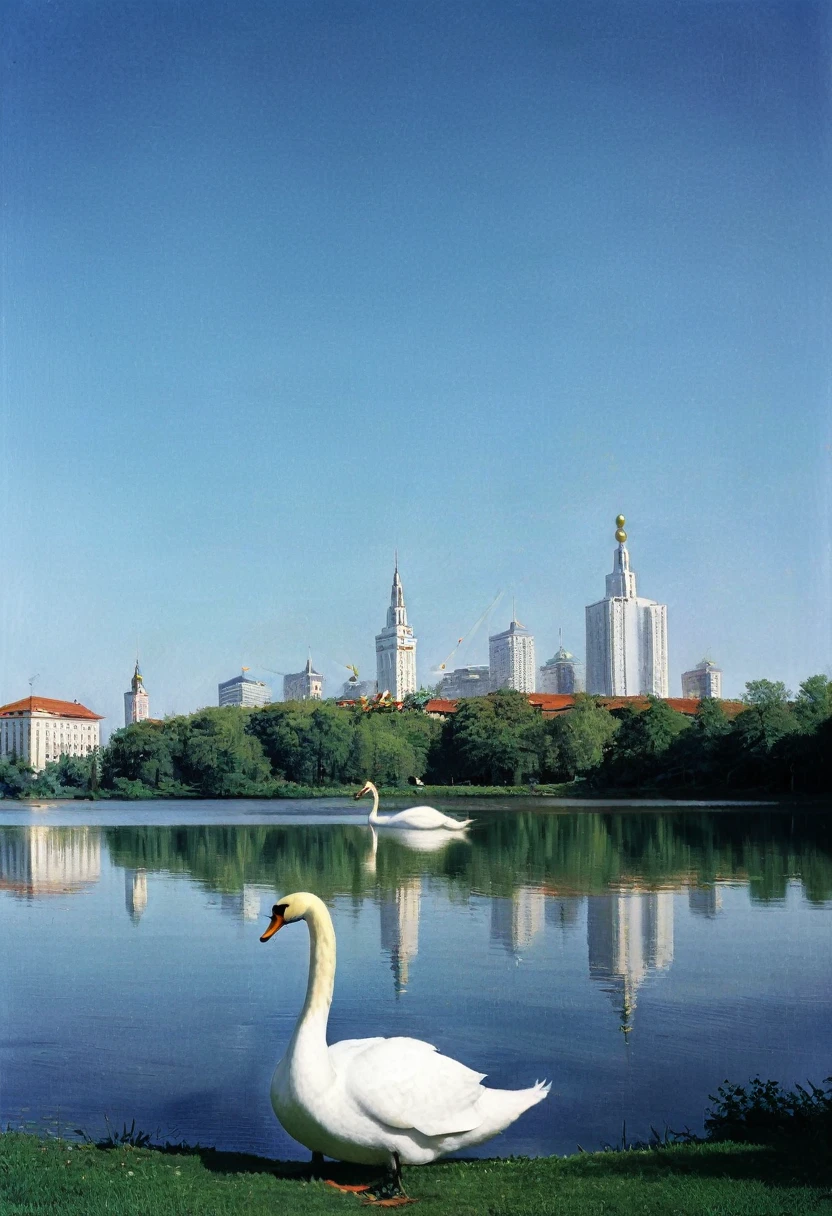 A giant giant white swan in a lake, beautiful landscape. in the background a city, centralized, cinematic.