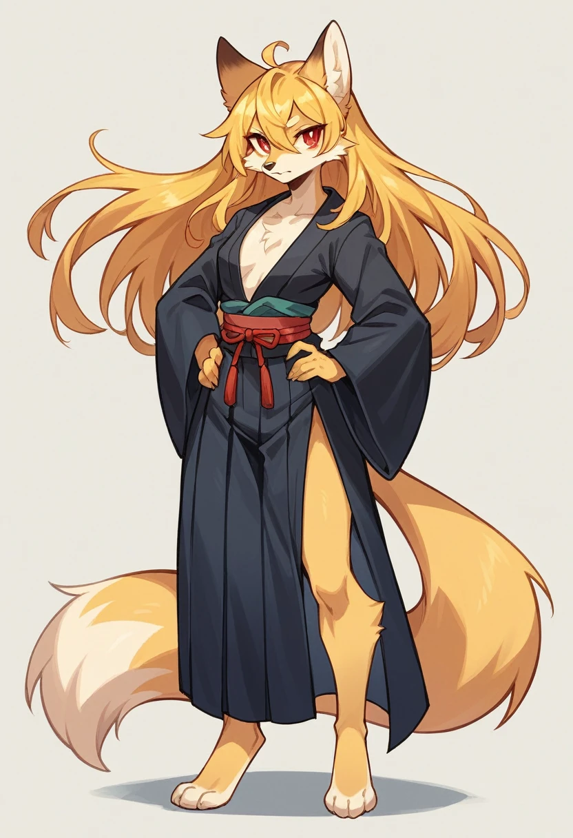 (full body,,The left hand is on the hip),((The right hand is out in front)),small breasts,Adult female fox, Furry, Golden fur, Golden facial fur, long golden hair, The hair on his hands is golden, Golden yellow hair on the back of the hand, Light-filled eyes, Red eyes, Brown elements of fur,Plain black kimono,Dark blue hakama,Very fine fur,