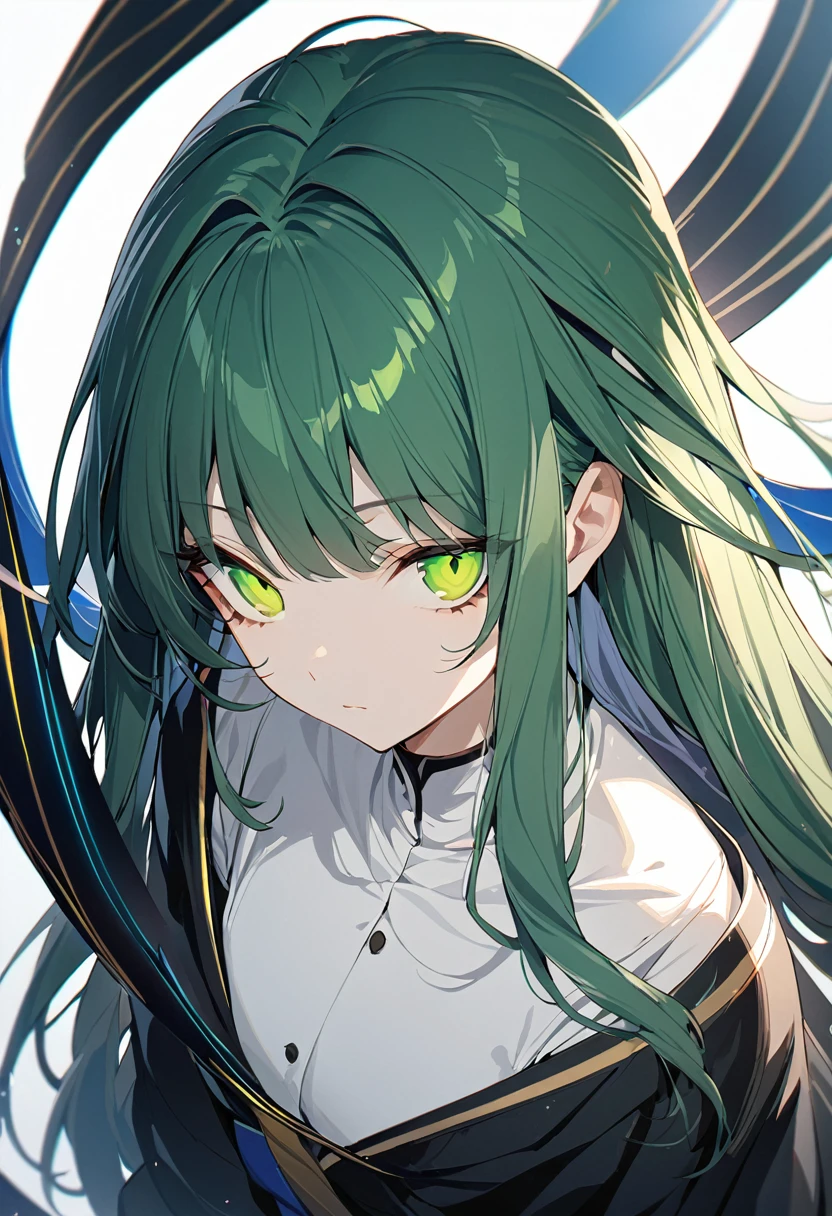 One girl, best quality, masterpiece, expressionless, beautiful girl, big eyes, hime cut, long hair, yellow-green eyes, black robe, wind magic, white background