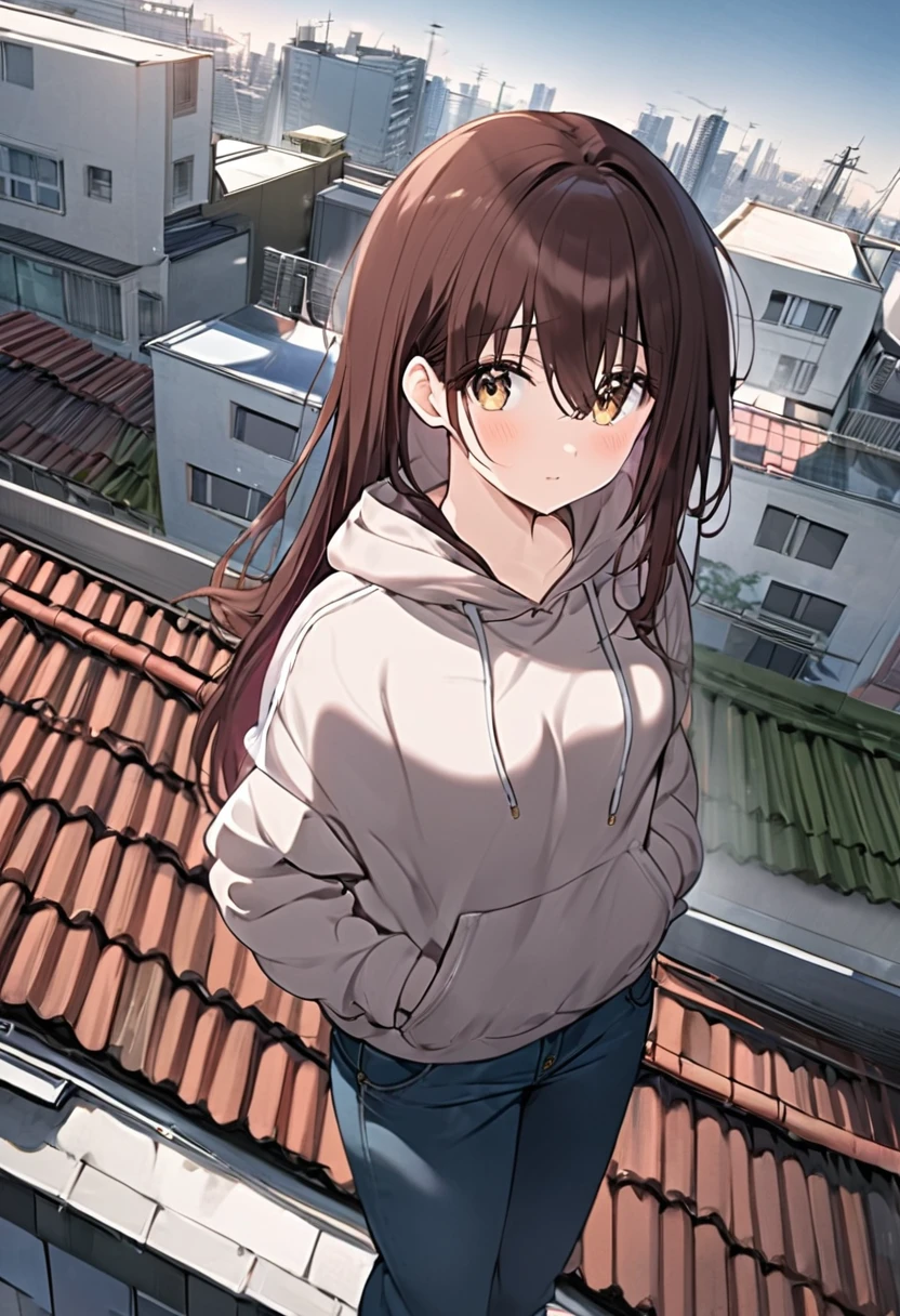 Woman with dark brown hair.Hazel eyes.Stand on the roof.Wearing a hoodie and jeans 🎶