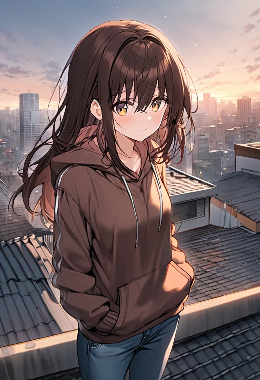 Woman with dark brown hair.Hazel eyes.Stand on the roof.Wearing a hoodie and jeans 🎶