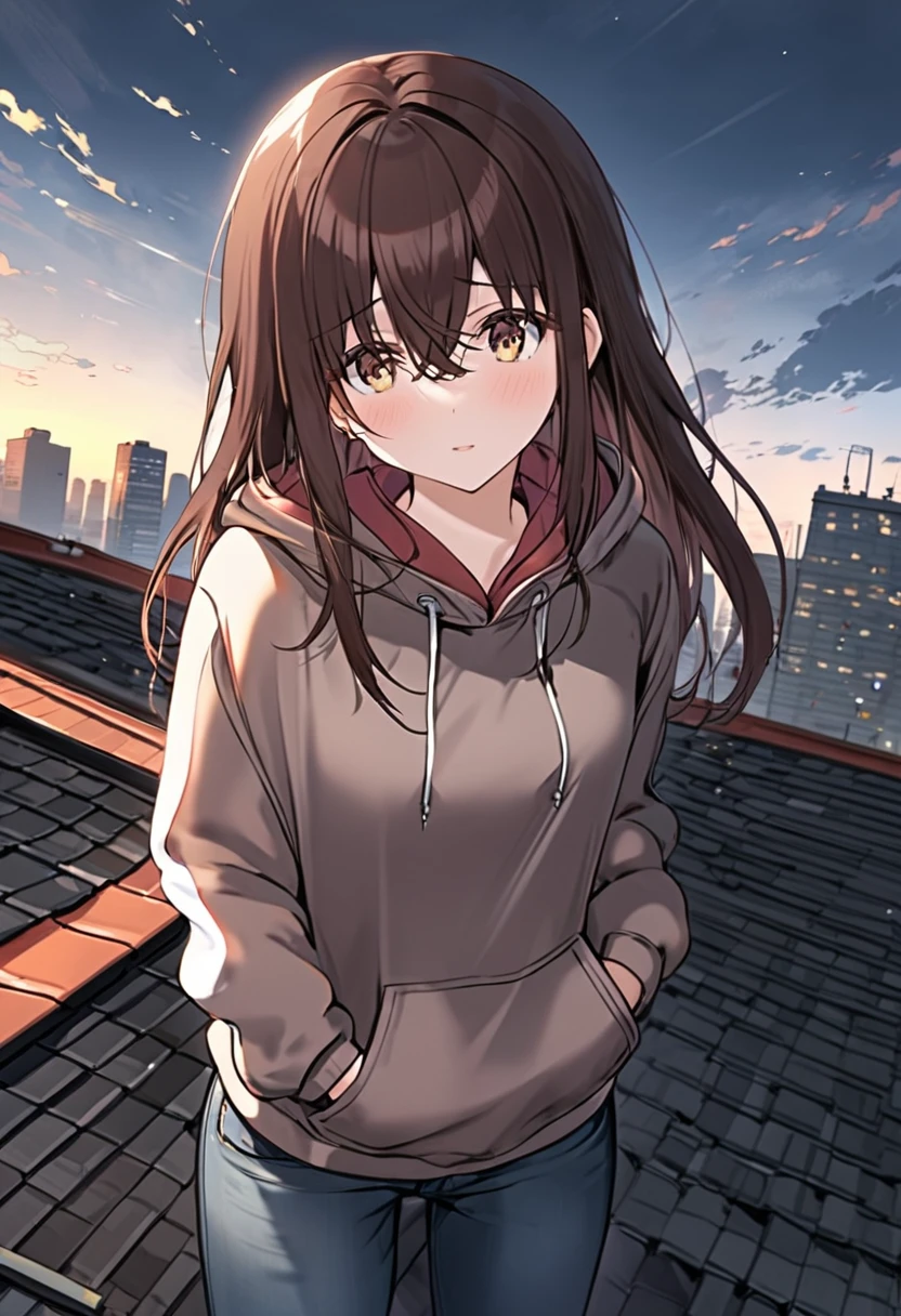 Woman with dark brown hair.Hazel eyes.Stand on the roof.Wearing a hoodie and jeans 🎶