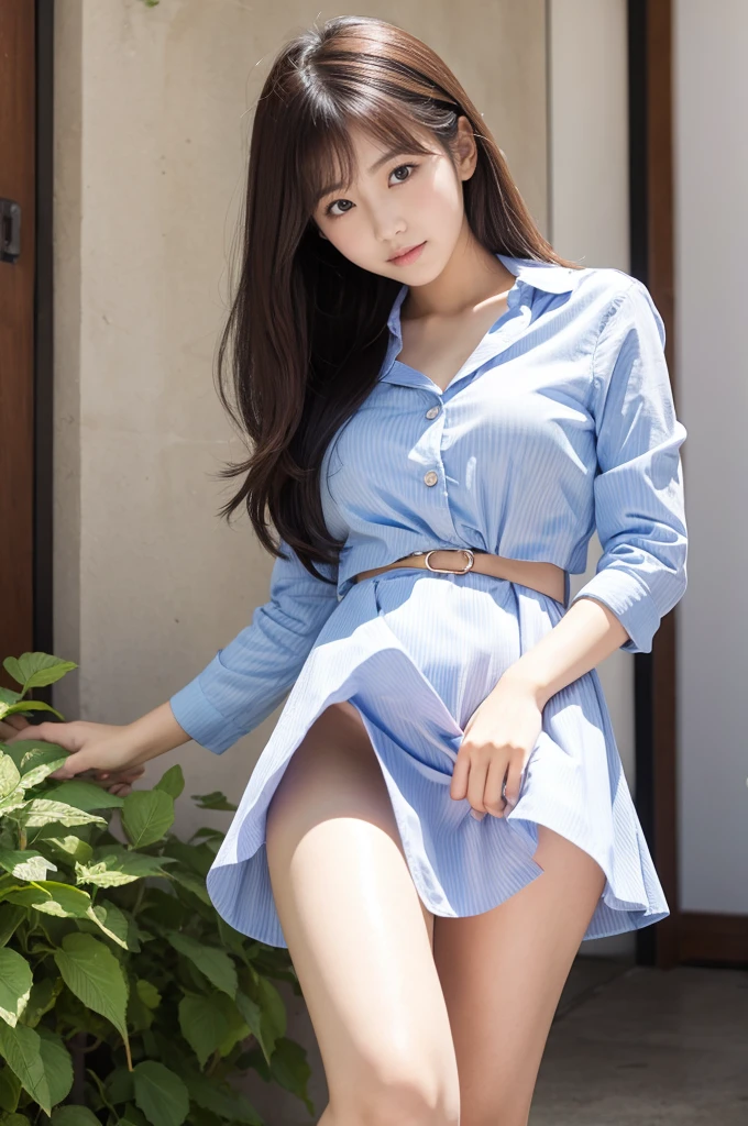 Korean girl upskirt、I want to enter