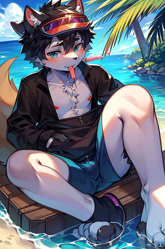 author:Junior Lesque, author:Kirito, Mammals, Furry, male, alone, wear, visor, Licking a popsicle, summer,