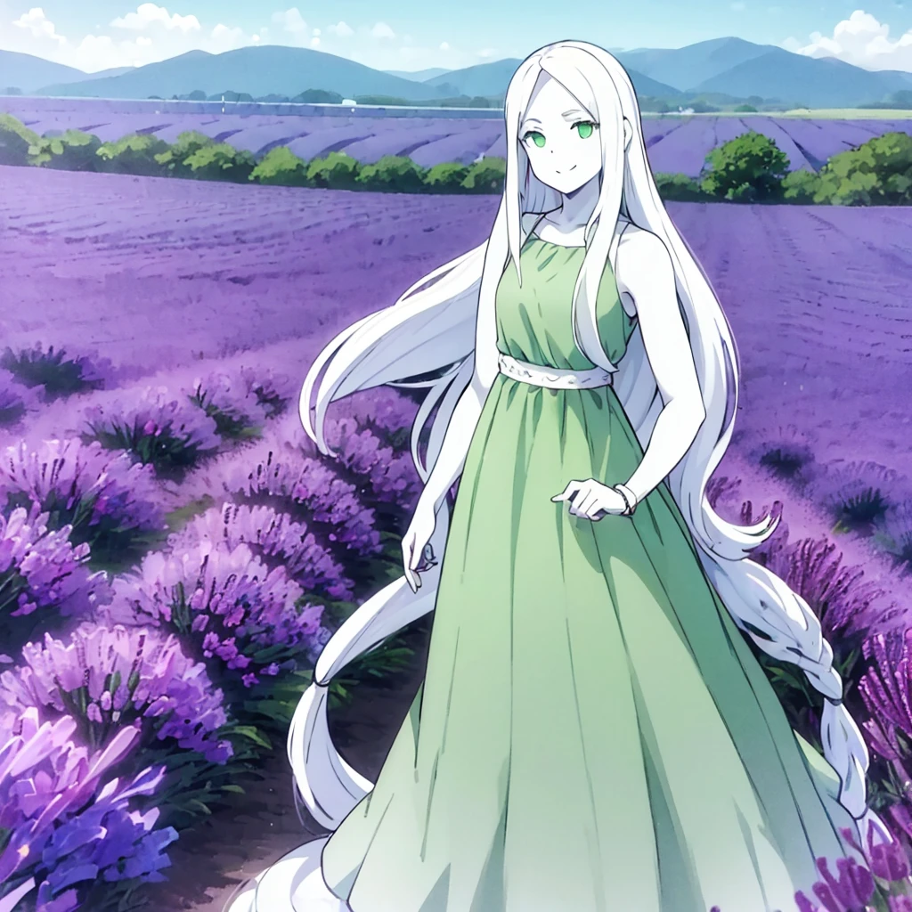 girl, standing, smiling, (pure white long hair:2.0),
BREAK
sleeveless, (pale green dress:1.5), bracelet, (background is a vast lavender field:1.4), (wide blue sky:1.1)