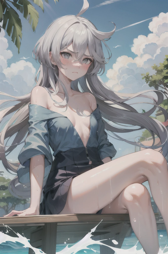 masterpiece, Highest quality, there is nothing, Girl and one guy, Small breasts, Long Hair, Grey Eyes, Gray Hair, Ahoge, bangs, Hair between the eyes, Floating Hair, Ocean, null, cloud, Beach, naked、 Wet, Sweat, Frowning,The penis enters the female genitals、blush、Red face、Embarrassing sitting