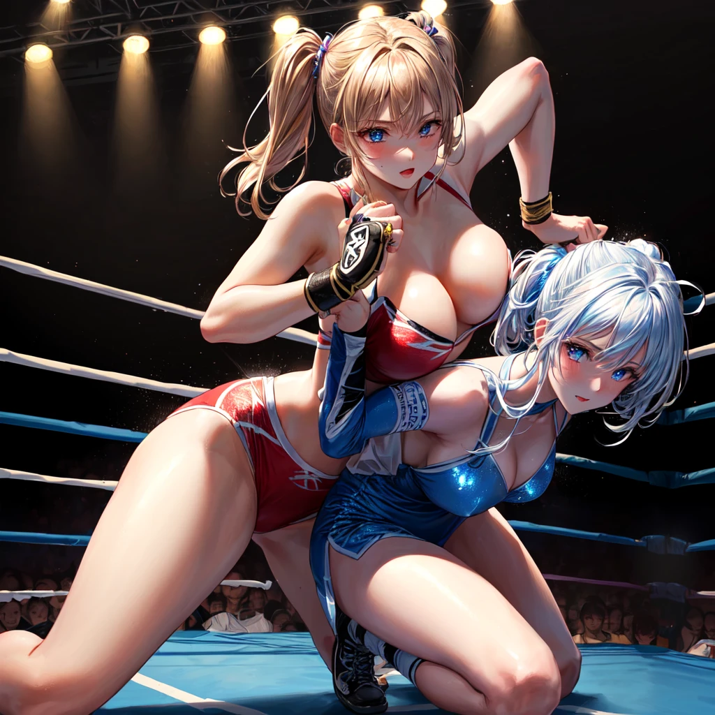 (masterpiece, best quality, ultra detailed), 2girl, wrestling, ring, fight, joint technique