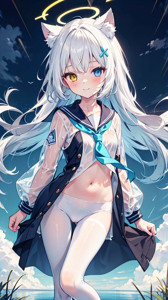 Short legs，White pantyhose，White hair，Smile，Long hair，Cat ear，Heterochromia（Left blue right yellow），Female face，There are bright spots in the eyes，flat chest，blue halo，Field paths，rain，Wet clothes，Sailor Suit，Gray background，heavily clouded，rural