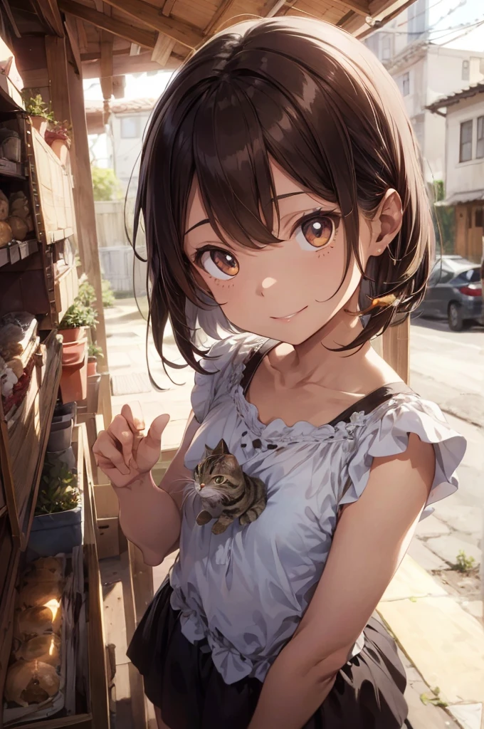 seed 997891748 this called Valentina, she is smiling at her house garden playing with her cat, Rajado, Rajado is a cat striped in light and dark brown
reference seed 997891748, anime, cartoon, fantasy