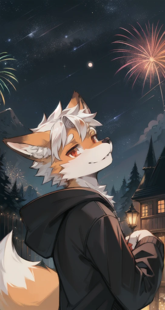 (Starry_Sky, moon, new moon_moon, night_Sky, night, shooting_Star, Sky, galaxy,fireworks, Starry_Sky_Print), male_key point,hairy, 1 boy,solitary, (detailed_background,amazing_background),Orange fur, Fox Boy, Black Hoodie, Fox Tail,(A tail), Red Eyes, White hair,detailed face,detailed eyes,Head tilt, from the side, SFW,whole body
