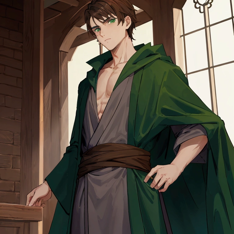 guy, brown hair, green eyes, dark blue robe, gray shirt under the robe