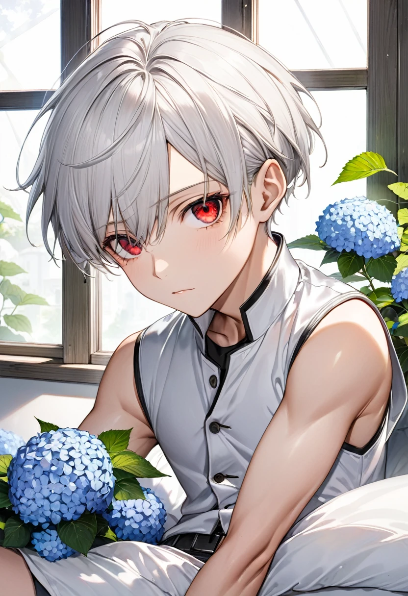 (Close-up face) (No.16, Single flat head silver hair super short hair sword fighter boy, Detailed Cool Red Eye, Serious face, flat chest), (Wearing a vest, Hot Pants), rest, (In a simple bedroom, Background through the window, There is a cluster of hydrangeas outside), rest, Perfect anatomical structure, masterpiece, best quality, 16K, Beautiful detailed growth, Daydreaming expression.