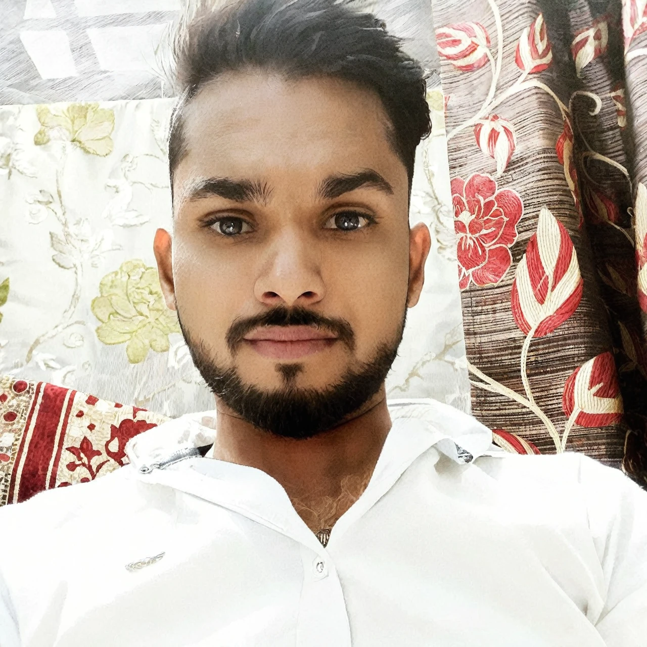 Male Antho wolf 